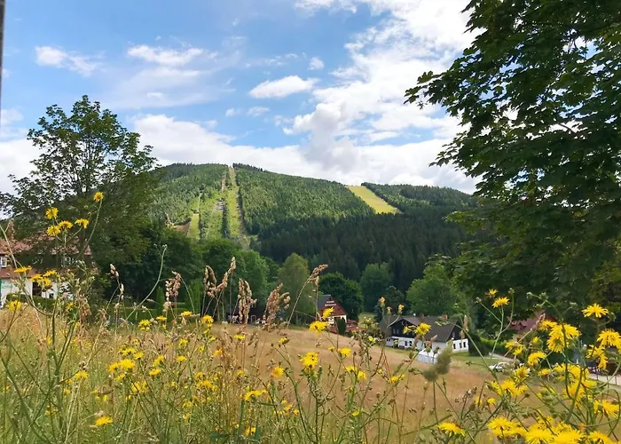 Certovka U Jelena By Interhome Lägenhet Harrachov